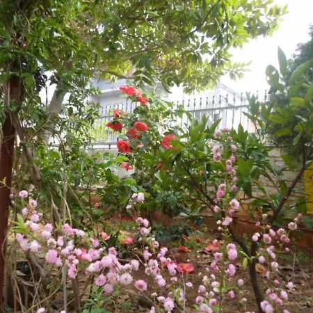 아파트 With Parking Space Banjole, - 17398 풀라